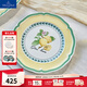 德國唯寶（Villeroy&Boch）法式花園系列 家用餐盤(pán)  法式油畫(huà)感餐具 日用瓷碗盤(pán) Valence 平盤(pán) 21cm