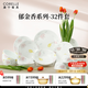 CORELLE康寧餐具美國(guó)進(jìn)口耐熱玻璃湯碗盤子套裝郁金香餐具整套輕奢碗碟 【8人食】高檔禮盒裝 32件套