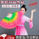 隨燦端午節(jié)日演出舞蹈扇子祖國頌扭秧歌扇子兒童雙面紗扇廣場舞跳舞扇 舞蹈扇五層紗【綠+黃+粉】右1把