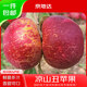 京地達四川涼山丑蘋(píng)果 凈重8斤 單果75mm+ 新鮮水果冰糖心源頭直發(fā)包郵