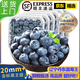 鮮級佳遼寧丹東藍莓王【多地次日達】新鮮孕婦L25花香藍莓禮盒怡顆藍莓 4盒【100g/盒】品質(zhì)升級-精品果 人工挑選 精品大果【單果14-16mm+】