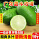 南海南無(wú)籽香水檸檬9斤裝新鮮當季大果暴打青檸檬奶茶店整箱批發(fā) 中果 3斤