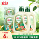 立白衛仕天然除菌洗衣液護衣祛味 除菌率99.99% 72h長(cháng)效抑菌 雨林茶花 【囤貨6斤】1kg*2瓶+500g*2袋