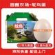 園囿農場(chǎng)山東新鮮鴕鳥(niǎo)蛋凈重3斤/枚禮盒裝新鮮特大禽蛋源頭直發(fā)包郵