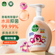 滴露（Dettol）泡沫洗手液西柚香型250ml 兒童泡沫豐潤抑菌護手草莓熊限定版