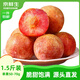 京鮮生新疆恐龍蛋凈重1.5斤 單果50-70g 脆甜飽滿(mǎn) 源頭直發(fā)