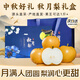 顏曼箐山東萊陽(yáng)秋月梨 新鮮水果脆甜現摘冰糖甜梨子中秋節禮盒送禮 5斤鉆石果 單果350g+ 凈重4.5斤+