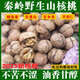 秦嶺山野外生山核桃老樹(shù)干核桃黑桃原味生核桃非紙皮孕婦核桃堅果 野生山核桃【精選大果】（3斤）送夾子