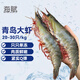 海賦 國產(chǎn)青島大蝦 特大號白蝦20/30規格 凈重3斤 生鮮 -源頭直發(fā)  