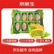 京鮮生 火參果禮盒裝 8粒 單果250g+ 滅霸同款 生鮮水果 源頭直發(fā)