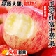 山東紅富士煙臺蘋(píng)果脆甜多汁【源頭直采】孕婦兒童新鮮水果頭茬果 5斤甄選-單果75mm及以上凈重4.5-5斤