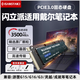 SanStand電腦SSD適用于戴爾筆記本固態(tài)硬盤(pán)1T游匣G15 5510/5511/5530 G3靈越5501 5570高速Pcie3.0 【筆記本專(zhuān)用3.0固態(tài)硬盤(pán)】3500MB/S 【1TB】送