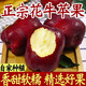 甘肅天水花牛蘋(píng)果蛇紅粉面沙甜嬰兒輔食水果刮泥寶寶老人吃面蘋(píng)果 京選中果【3斤裝】