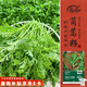 壽禾小葉茼蒿種子苗皇帝菜秋季蔬菜種籽 濰育四季小葉茼蒿種子20g*2袋