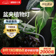 三思京東集采JC系列全光譜植物燈補(bǔ)光燈仿太陽光植物生長(zhǎng)盆夾燈-12W