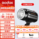 GODOX神牛小先鋒200W攝影閃光燈套裝室內(nèi)攝影棚攝影燈拍攝證件照形象照補光燈影棚燈人像產(chǎn)品照相打光燈 200W閃光燈標配