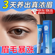 眉毛增長液醫(yī)用級進(jìn)口濃眉眉毛膏長毛水男女士濃眉液假睫毛超自然 京自倉發(fā)貨野生眉睫毛營養(yǎng)液1支 眉毛濃密增長液眉毛瑩潤精華液