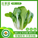 北菜園有機小白菜250g火鍋食材有機新鮮蔬菜  【兩個(gè)品種隨機發(fā)送】生鮮