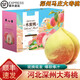 河北深州大蜜桃【順豐速發(fā)】馬莊水蜜桃大壽桃油蟠桃貢桃水果禮盒 壽桃 6枚 甑選果王【單果1斤+】