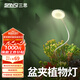 三思京東集采JC系列全光譜植物燈補(bǔ)光燈國家補(bǔ)貼植物生長盆夾燈-7W