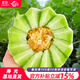 育禾農玉菇甜瓜種子白皮冰激凌香瓜籽 新玉姑F1甜瓜種子 10粒