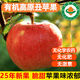 【順豐】有機丑蘋(píng)果 高原脆甜嘎啦蘋(píng)果健康無(wú)農殘有機水果 5斤 精品果