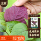 北蔬 紫蘇種子種苗食用蘇子葉蔬菜種籽 平葉紫蘇(雙色)種子5g約1200粒