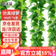 花沃里仿真藤條綠蘿葉過(guò)膠 綠植假花裝飾綠葉年會(huì )婚慶吊頂藤蔓99片5條裝