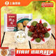 愛(ài)森SAIC/愛(ài)森精選地道手工獅子頭300g*3盒贈送愛(ài)森高湯肉圓280g 900g(愛(ài)森獅子頭300g*3袋) 贈送愛(ài)森高湯肉圓280g