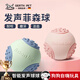 GERTHRON德國狗狗玩具球發(fā)聲耐咬磨牙寵物狗自嗨解悶神器邊牧泰迪柯基幼犬 薄荷綠（發(fā)聲）
