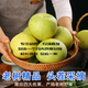 正宗福建度尾文旦柚紅心蜜柚子10斤新鮮當季水果孕婦老樹(shù)順豐包郵 【20斤無(wú)孔果】 【普通快遞】老樹(shù)果