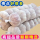源頭【邳州出口級大蒜】新鮮紫皮大蒜新干蒜超大果網(wǎng)兜精美小包裝 超大果3顆網(wǎng)兜裝（2份）