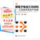 鋰離子電池三元材料:工藝技術(shù)及生產(chǎn)應(yīng)用