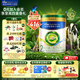 美素佳兒（Friso）皇家莼悅較大嬰兒配方奶粉 2段（6-12個(gè)月） 皇家莼悅有機2段 800g 1罐