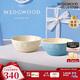 WEDGWOOD[結婚禮物]歡愉假日米飯碗藍色白色2個(gè)飯碗陶瓷餐具15cm碗盤(pán)餐具
