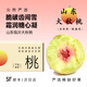 沁煦【順豐包郵】山東臨沂大秋桃現摘當季新鮮水果蜜桃毛桃子脆甜紅心 3斤【嚴選大果丨單果200g+】