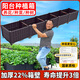 原起點(diǎn)陽(yáng)臺樓頂種菜箱長(cháng)方形蔬菜種植箱神器種菜盆菜箱塑料花箱戶(hù)外 常用3聯(lián)箱 150*40*22cm
