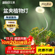 三思京東集采JC系列全光譜植物燈補光燈仿太陽(yáng)光植物生長(cháng)盆夾燈-7W