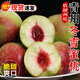 三萌果蔬山東青州蜜桃 當季新鮮脆甜毛桃水果紅心離核冬雪小桃子節日送禮 5A級優(yōu)選果丨嘗鮮果【清甜】 5斤裝【80%選擇-爆款主推】?jì)糁?.5斤
