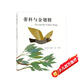 蒂科與金翅膀 （愛(ài)心樹(shù)童書(shū)）