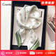 CRANTA KOMEIA絲巾女2025新款秋冬季小方巾圍巾領(lǐng)巾圍脖媽媽生日禮物送女友老婆 綠色 高級感ck風(fēng)送女朋友愛(ài)人實(shí)用高檔