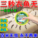 衣魚(yú)蟲(chóng)專(zhuān)殺劑一窩端家用無(wú)毒母嬰衣魚(yú)蟲(chóng)餌劑衣魚(yú)蟲(chóng)殺蟲(chóng)劑專(zhuān)用的藥 買(mǎi)3送2【衣魚(yú)蟲(chóng)一窩端】