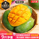 京地達攀枝花凱特芒果 9斤巨無(wú)霸單果600g+肉厚無(wú)絲新鮮水果源頭直發(fā)