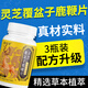 【艦旗熱賣(mài)】靈芝覆盆子鹿鞭片丸中藥草本植物精華同款真材實(shí)料 3瓶裝【超值優(yōu)惠】