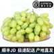 迭果白馬奶葡萄6斤帶箱張家口懷來(lái)宣化牛奶提子新鮮水果馬奶白葡萄水