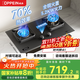 歐派（OPPEIN）燃氣灶煤氣灶70%熱效率國家補貼天然氣大面板液化氣猛火灶磨砂面板雙灶嵌入式臺式兩用 【780面板】70%熱效率-雙灶定時(shí)-JJX61 天然氣