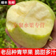 沂蒙山老品種金帥青蘋(píng)果酸甜脆青蘋(píng)果小時(shí)候的味道順豐到家 70mm-80mm 5斤口感酸甜略粉