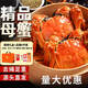 【活蟹】湖中秋色鮮活大閘蟹螃蟹現貨公4.5-4.8母3.5-3.8兩4對去繩足重送禮盒 源頭直發(fā)