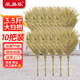 采易樂(lè ) 大掃把 工廠(chǎng)環(huán)衛竹掃把馬路物業(yè)柏油道路戶(hù)外地面清潔大號笤帚 3.5竹枝連體10把裝