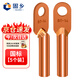 固鄉 DT銅鼻子 線(xiàn)鼻子 冷壓接線(xiàn)端子 銅線(xiàn)耳 紫銅接線(xiàn)電纜接線(xiàn)頭 接線(xiàn)鼻 國標 A級 16平方 單孔 5個(gè)裝